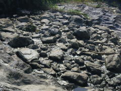 IMGP0047