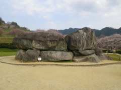 IMGP0278