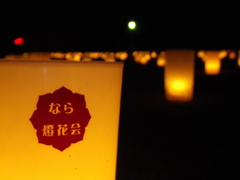 IMGP2641