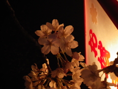IMGP0320