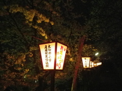 IMGP0310