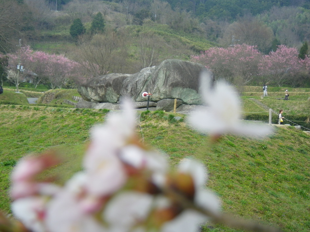 IMGP0285