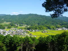 IMGP0057