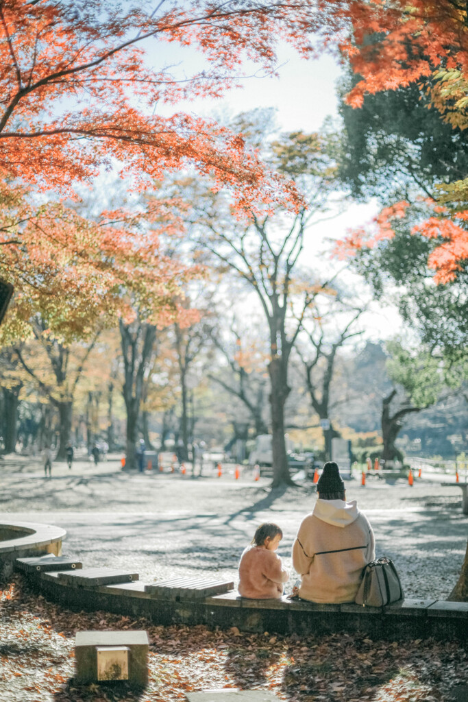 陽だまりの風景