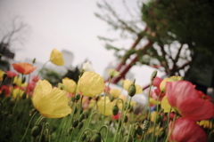 大通り公園