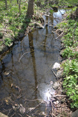 茂漁河川敷緑地