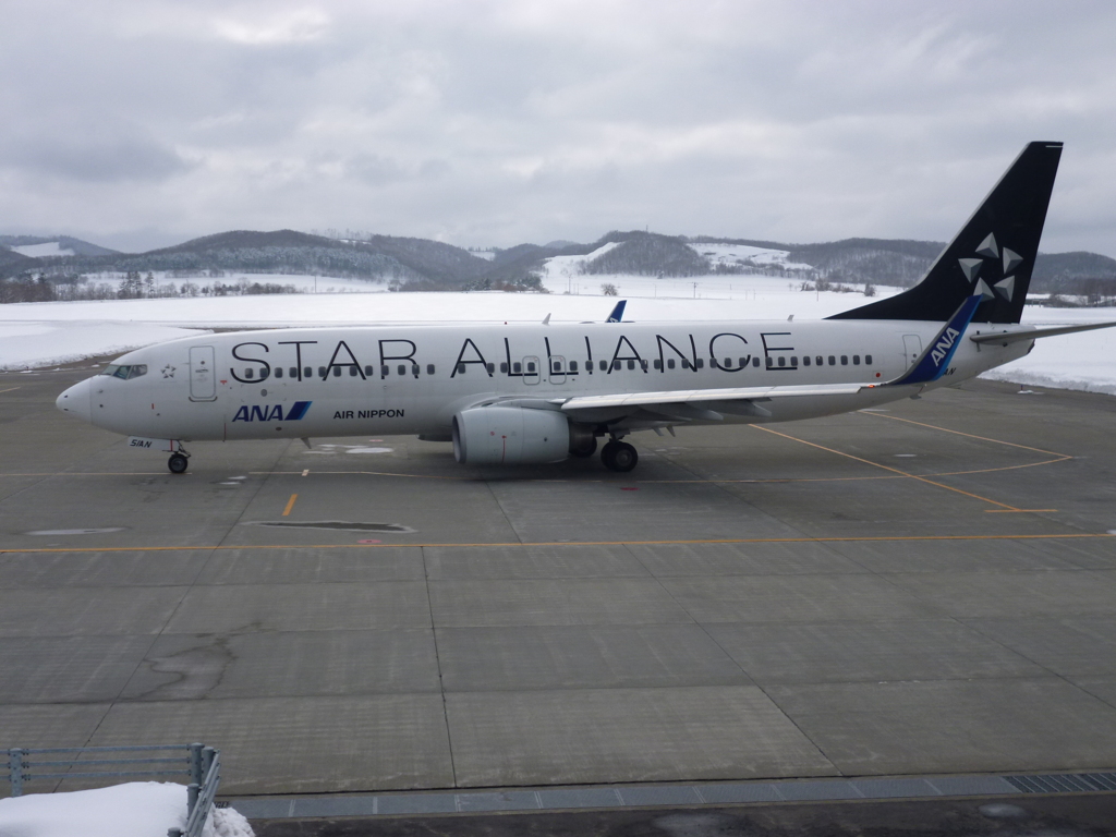 初めて見る機体