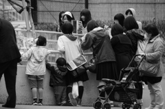 レッサ―パンダ大人気