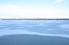 港の氷も緩んでいます