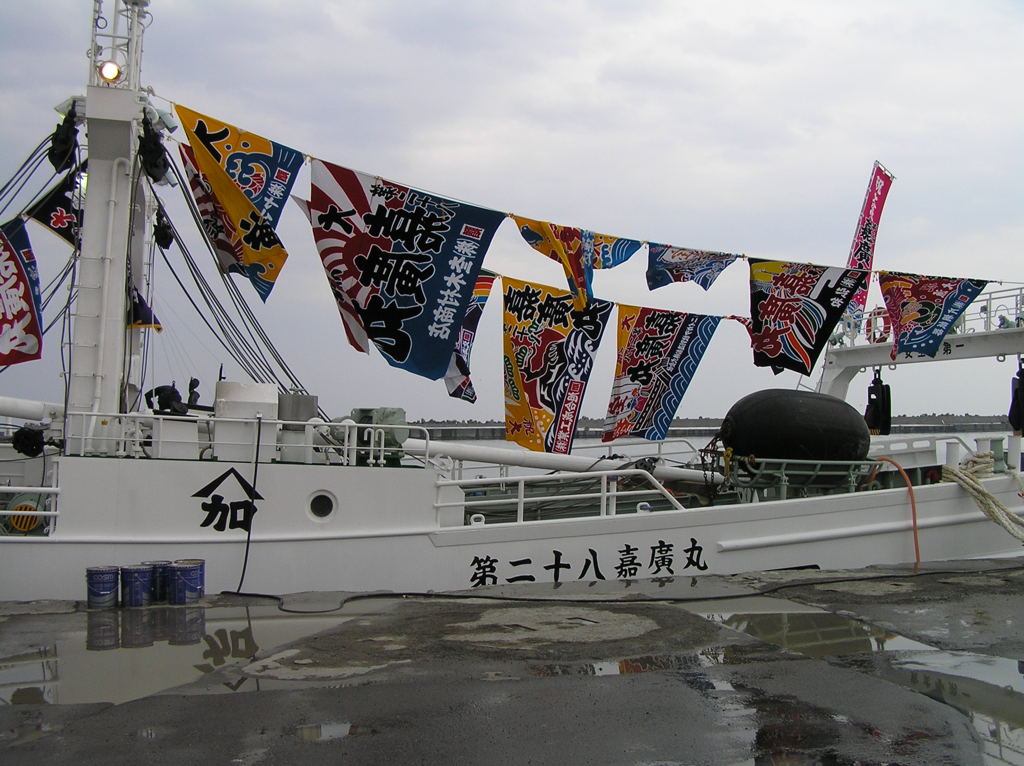 大漁旗2
