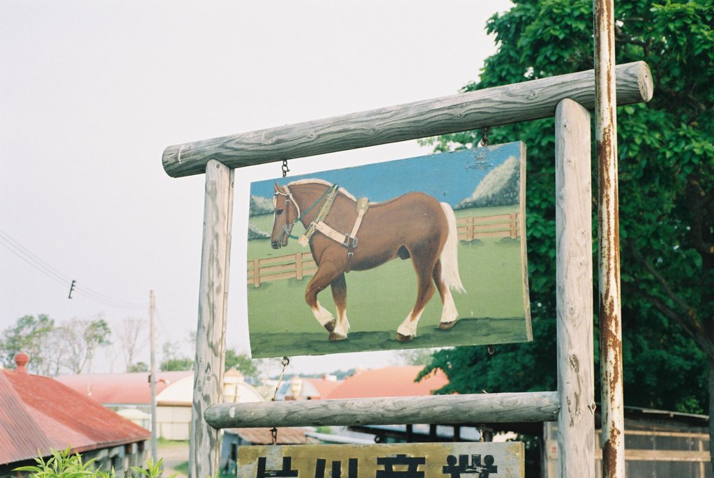 牧場　看板