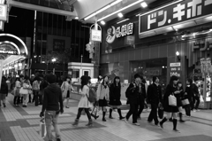 夜のタヌキ小路