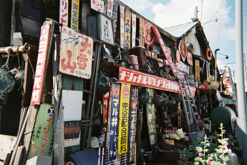 写るんですで撮った光景