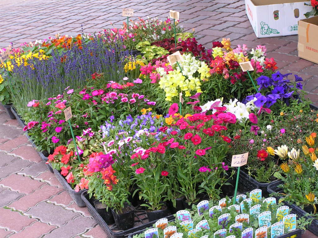 花屋の店頭
