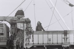 トラックの荷台
