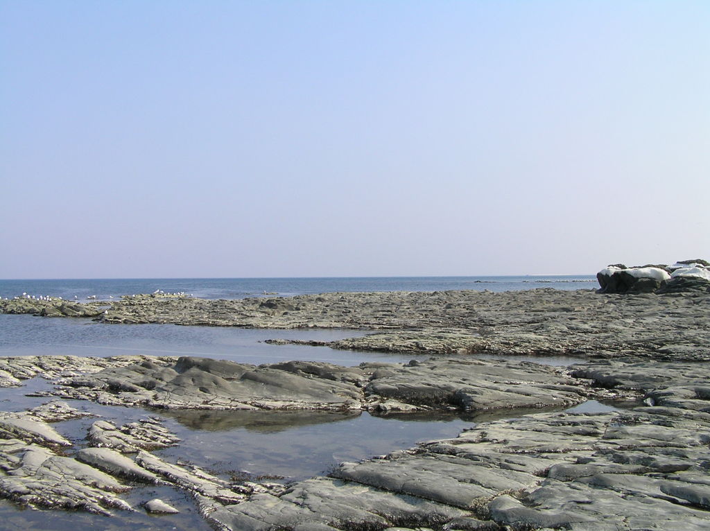 磯の光景