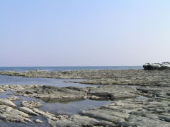磯の光景