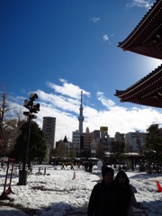 浅草寺と雪とスカイツリー