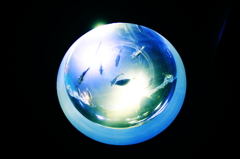 AQUA PLANET