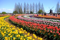 2年前のあけぼの山農業公園