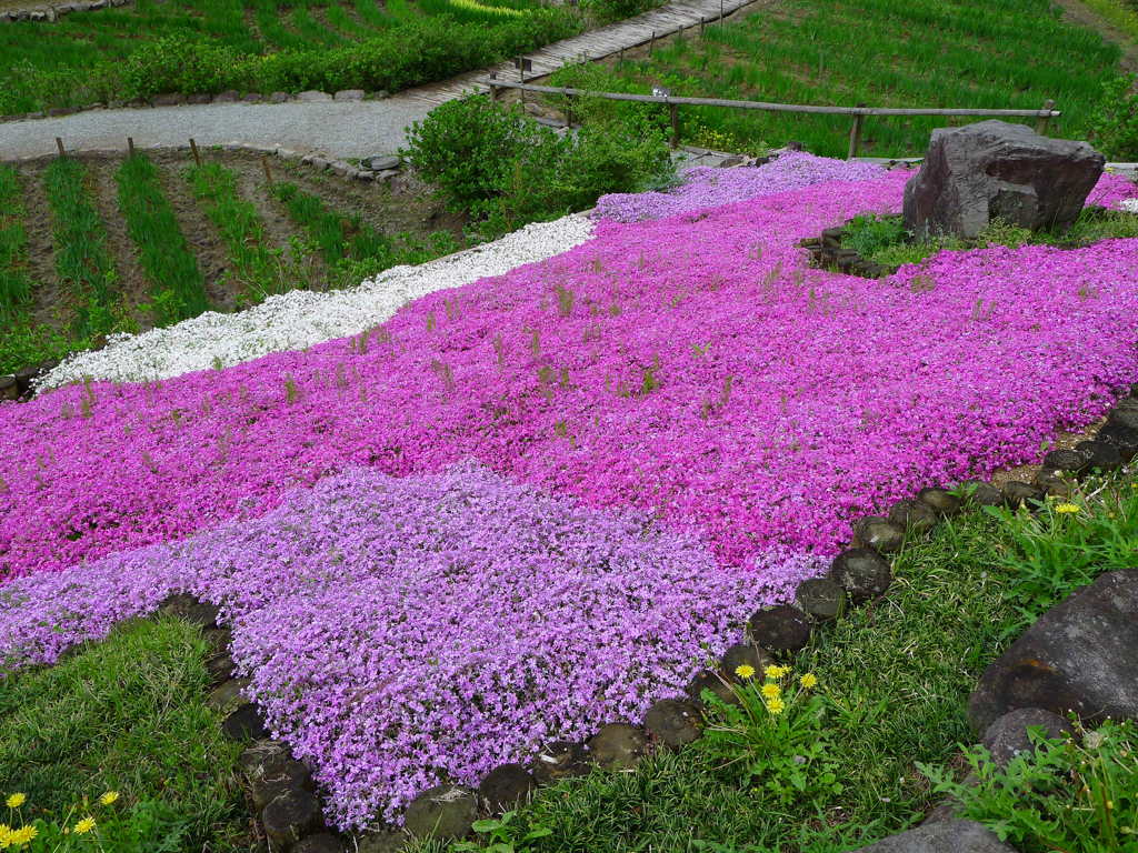 P1000865
