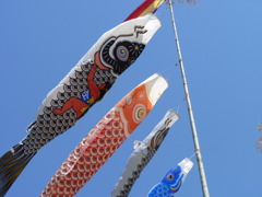 P1030591