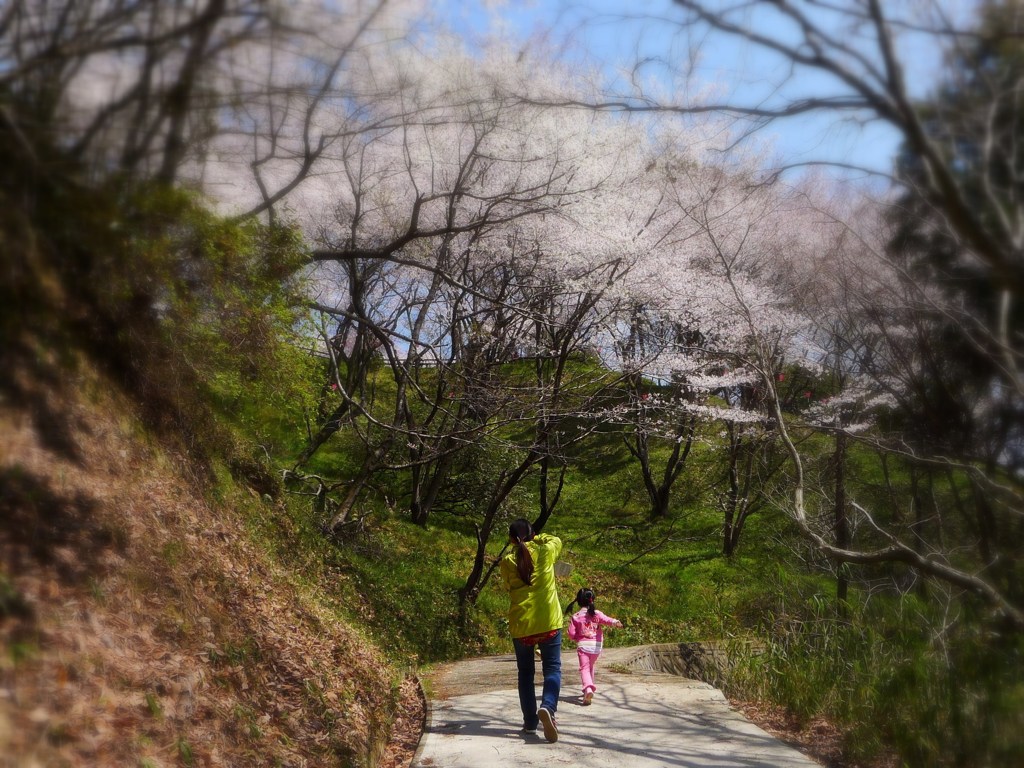 120408滝谷公園 (2)