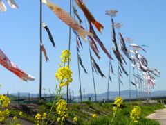 P1030598