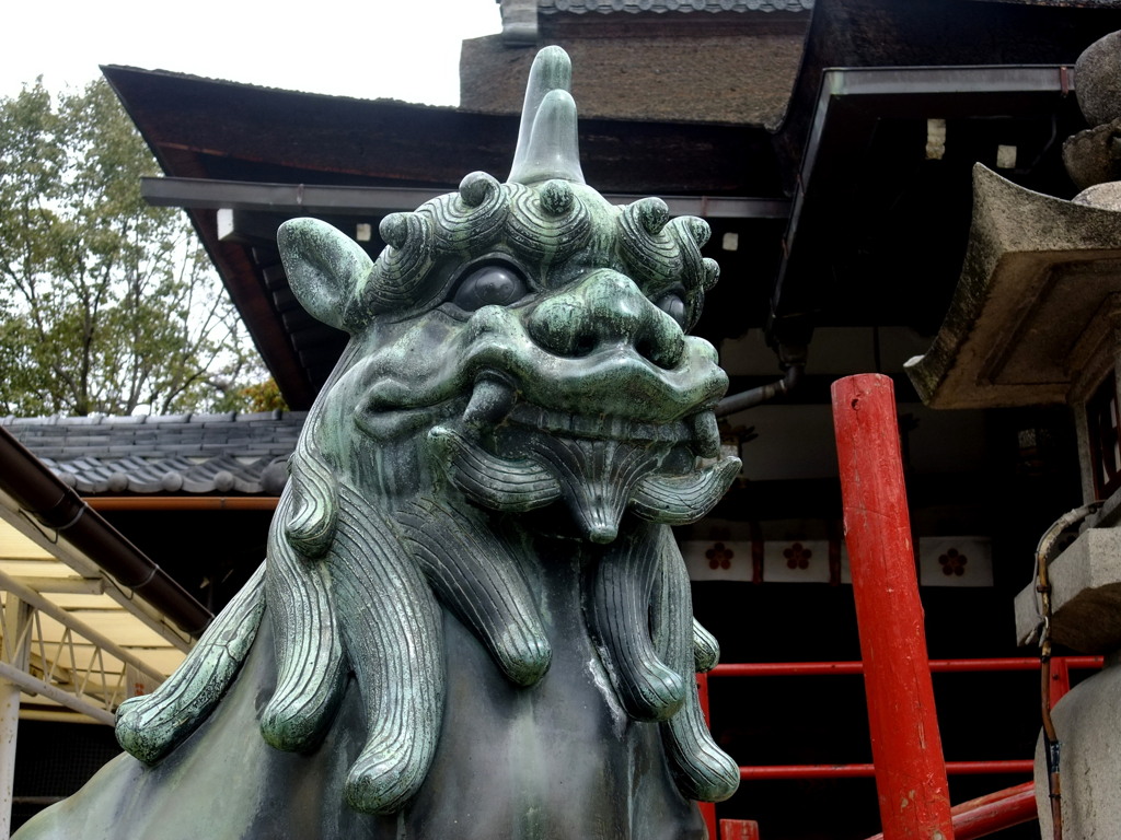 120316道明寺F (5)