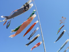 P1030589