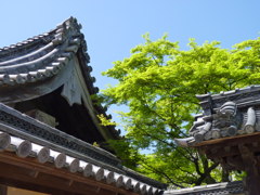 P1030611