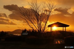 的矢湾大橋展望台夕景