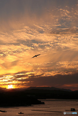 英虞湾夕景