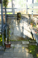 _DSC0092a