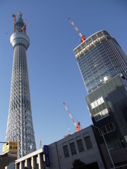 ☆スカイツリー☆