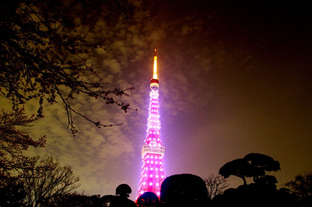 夜空を照らして