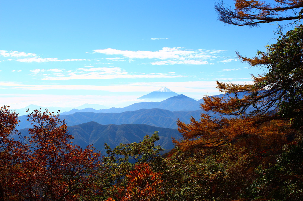 雲取山からの景色