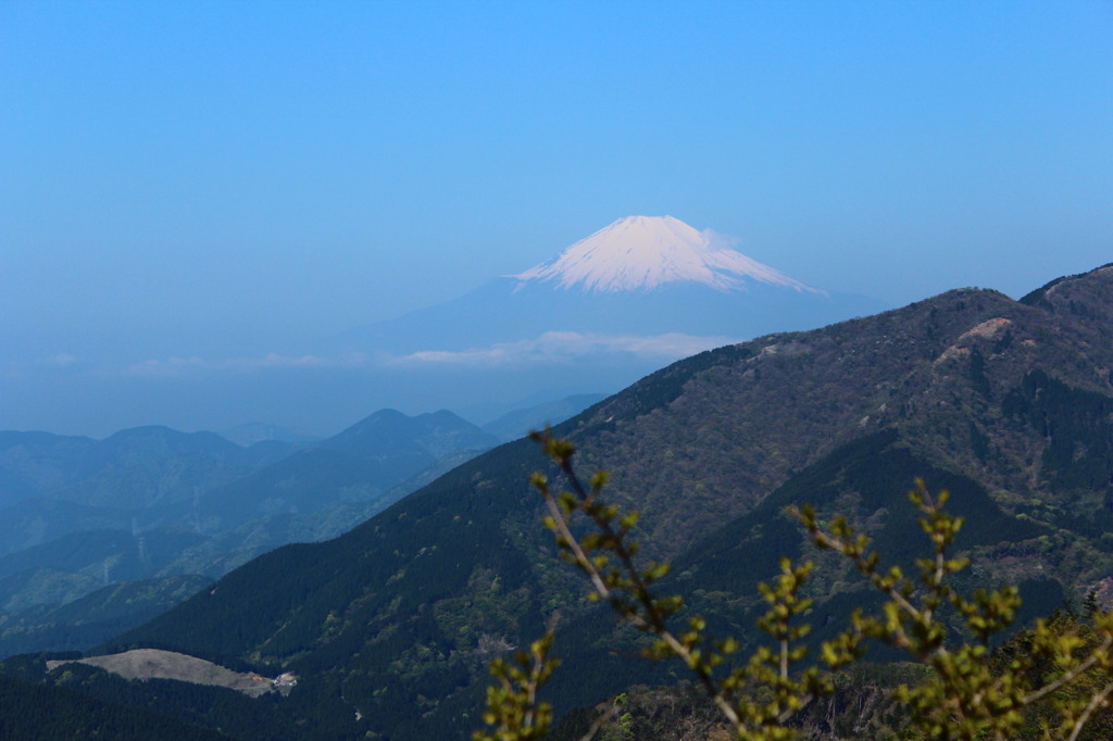 大山からの富士１