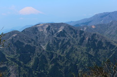 大山からの富士２