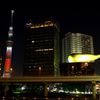 キャンドルツリー①