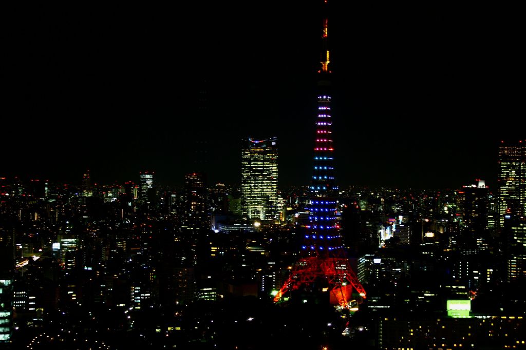 ソチオリンピック日本代表選手団応援・祝福ダイヤモンドヴェール⑥