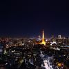 世界貿易センタービルからの夜景①