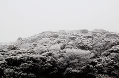 横須賀雪景色②