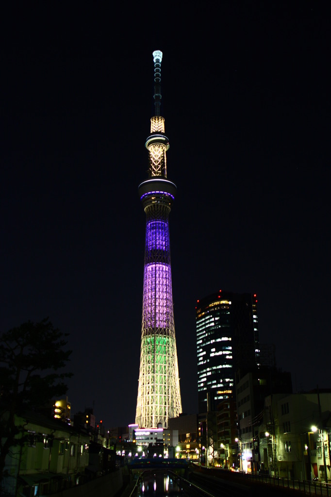 明花　ver.1-1