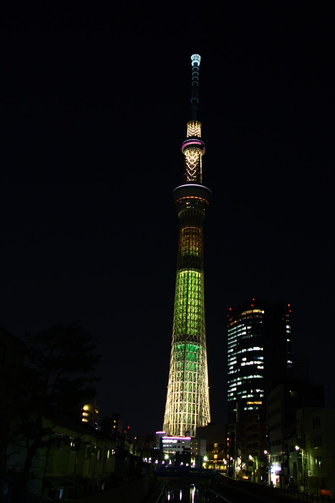 明花　ver.2-1