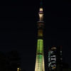 明花　ver.2-1