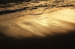 浜辺の煌めき