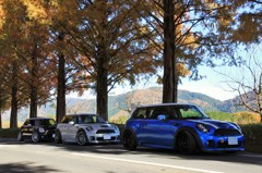 IMG_6004 (4000x2667)