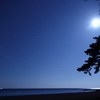 Bathed in the moonlight 