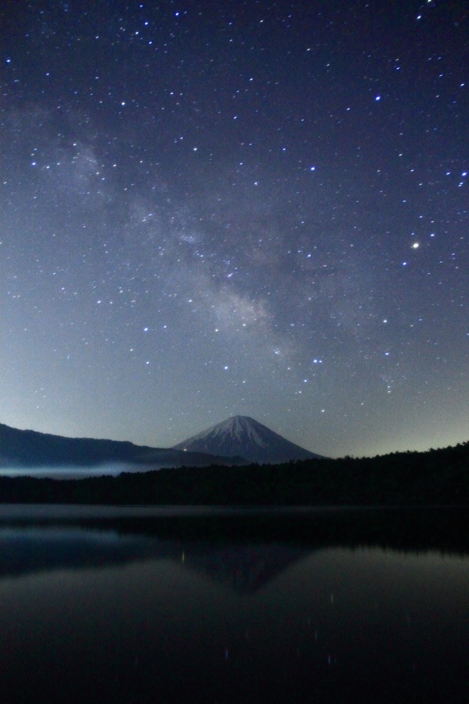 シンメトリーな世界